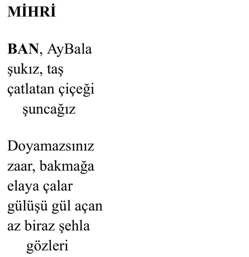 Âba Müslim Çelik'ten Üç Yeni Şiir