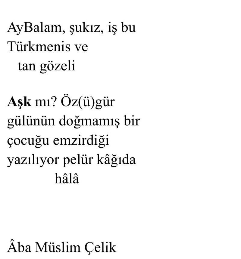 Âba Müslim Çelik'ten Üç Yeni Şiir