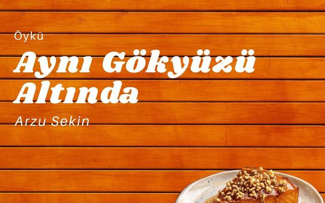 Aynı Gökyüzü Altında