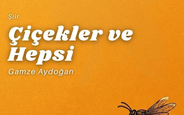 Çiçekler ve Hepsi