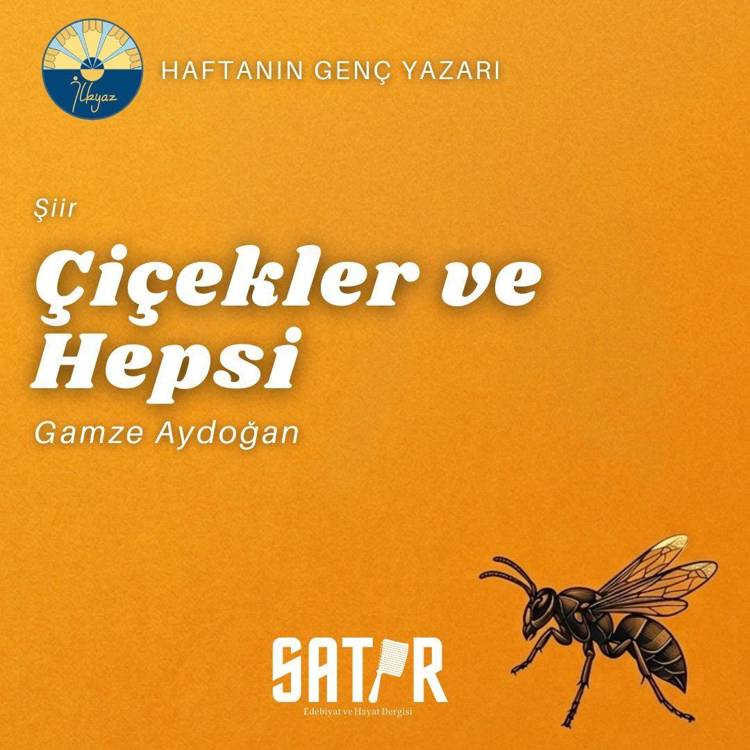 Çiçekler ve Hepsi