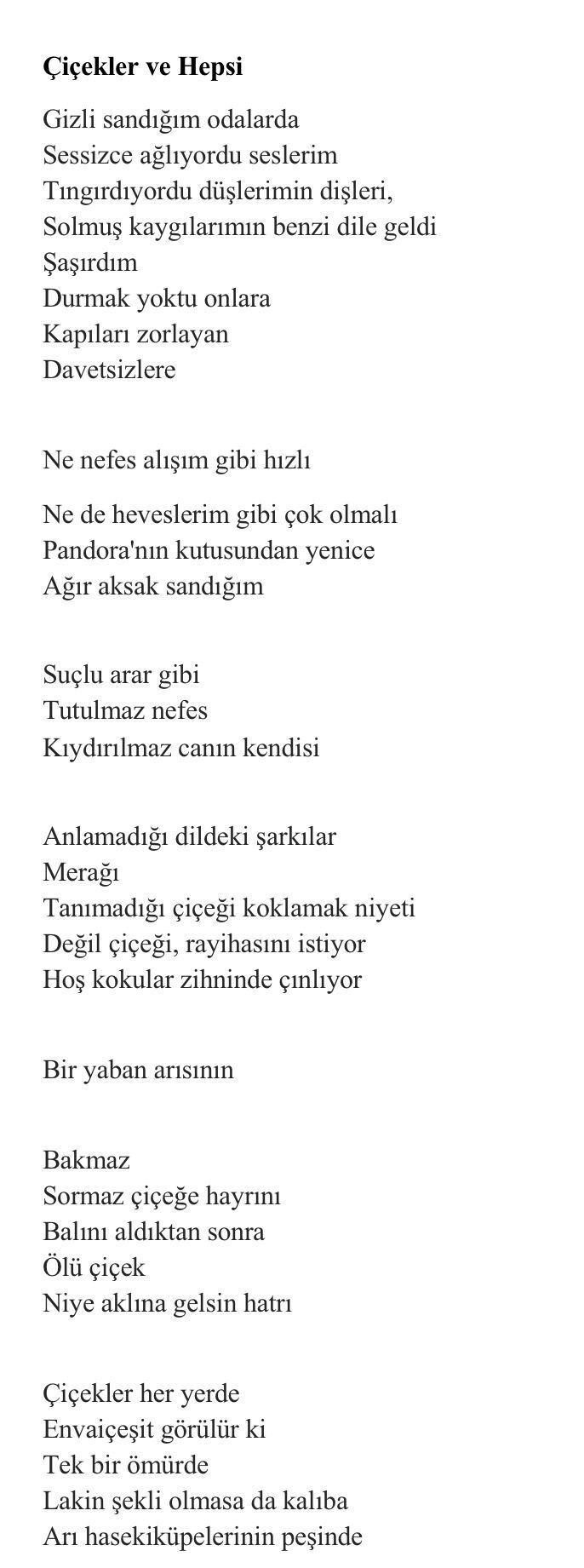 Çiçekler ve Hepsi