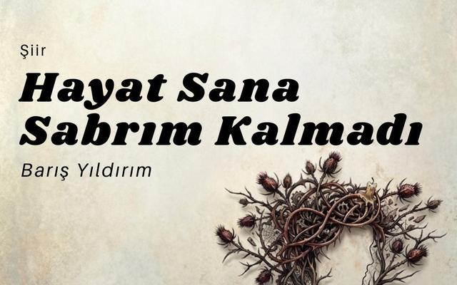 Hayat Sana Sabrım Kalmadı