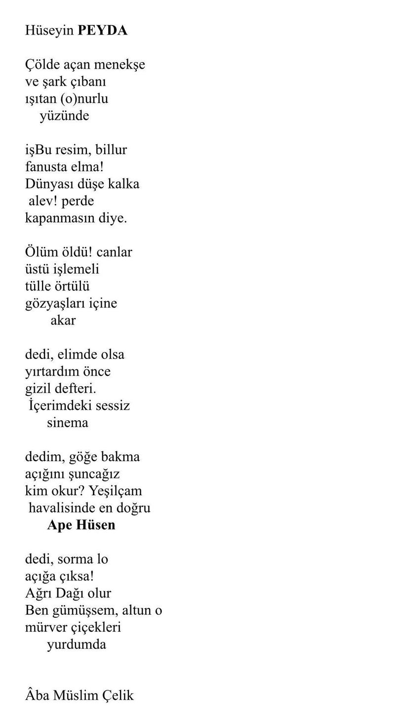 Hüseyin PEYDA