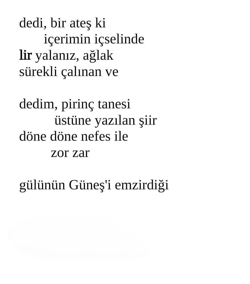 Usta Şair Âba Müslim Çelik'ten Yeni Bir Üçleme
