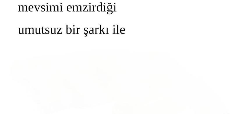 Usta Şair Âba Müslim Çelik'ten Yeni Bir Üçleme