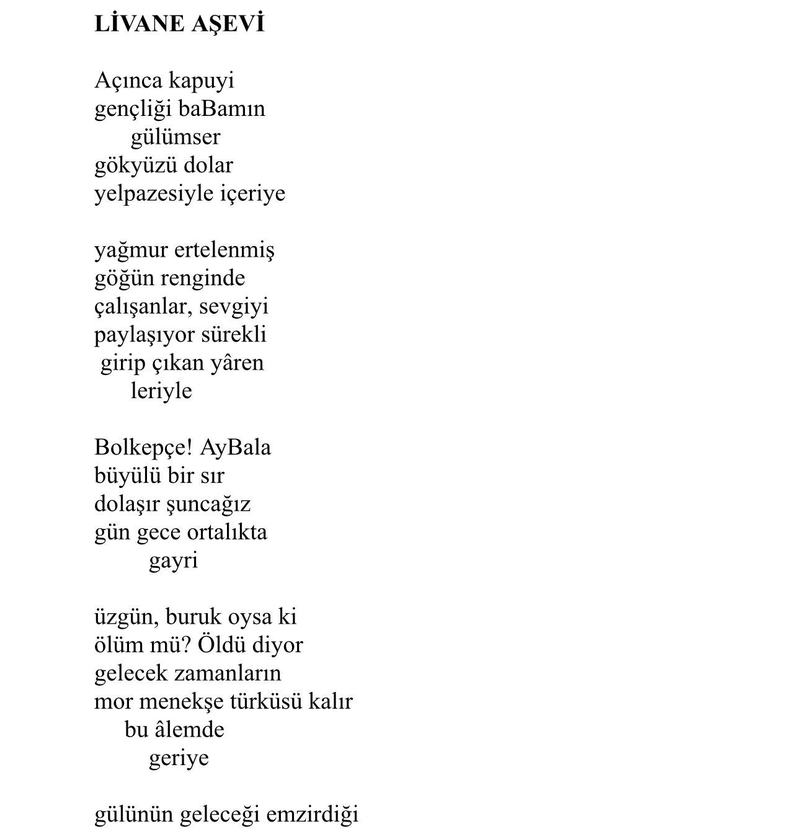 Yeni Bir Üçleme: Kocadağ Liriği, Livane Aşevi, Umut Can Erzincan'da
